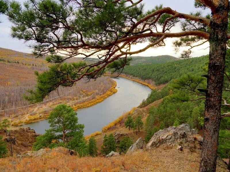 Реки забайкальского края фото Поймы рек Забайкальского края остаются подтопленными : 75.rodina.news