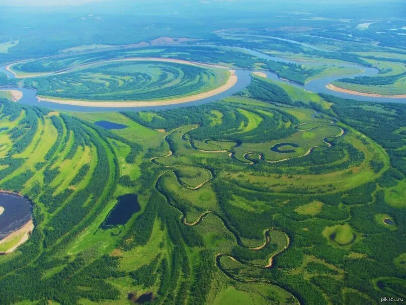 Реки земли фото На фотографии - река Лена в Якутии с высоты птичьего полета Пикабу