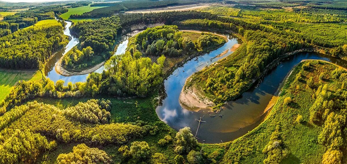 Реки земли фото Экологическое путешествие "Реки, речки и моря на земле текут не зря" 2020, Шатур