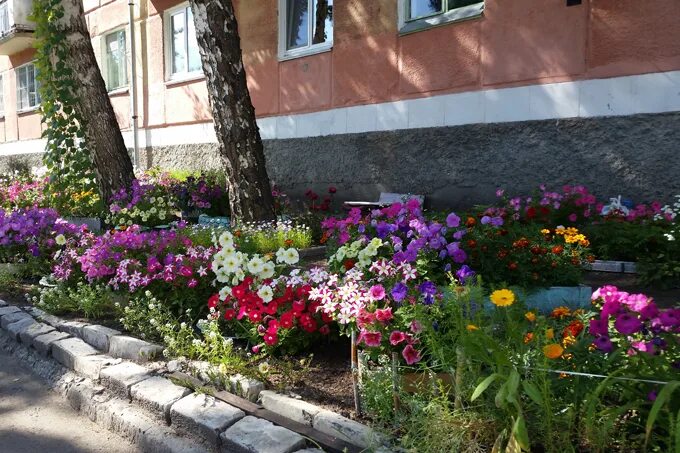 Реклама на клумбе многоквартирного дома фото В городе начался очередной конкурс "Шадринские дворики" SHADR.info