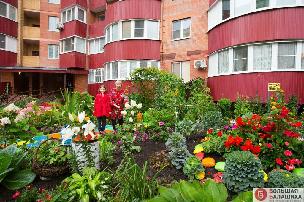 Реклама на клумбе многоквартирного дома фото Во саду ли, в огороде": как разбить цветник под окнами многоэтажки? ГТРК "Владим