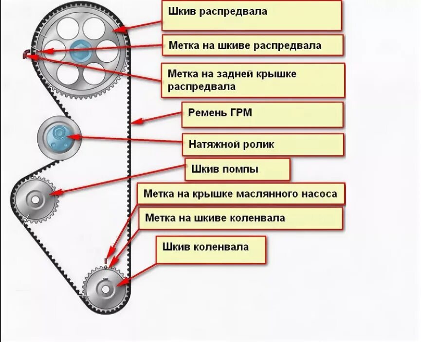 Ремень грм в машине как выглядит Замена ремня грм 8 клапанная