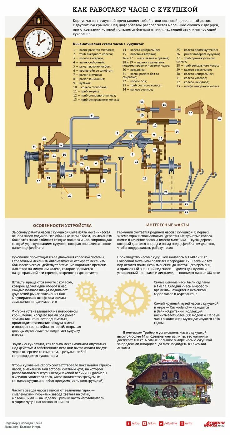 Ремонт часов с кукушкой своими руками Как работают часы с кукушкой. Инфографика nel 2024 Orologio, Sedie