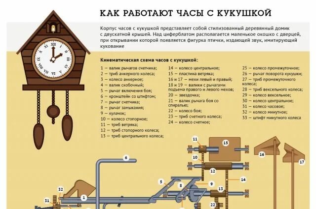 Ремонт часов с кукушкой своими руками Как работают часы с кукушкой. Инфографика Аргументы и Факты