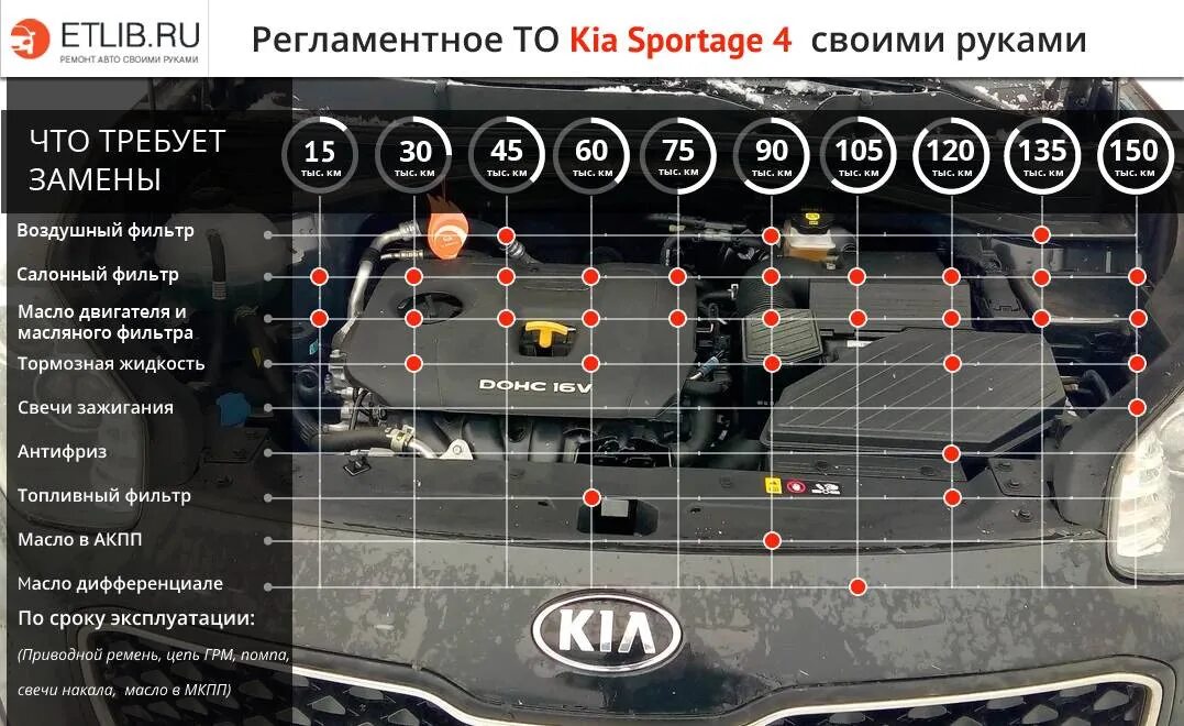 Ремонт киа спортейдж 2 своими руками Регламент ТО KIA Sportage 4 - KIA Sportage (4G), 1,6 л, 2016 года плановое ТО DR