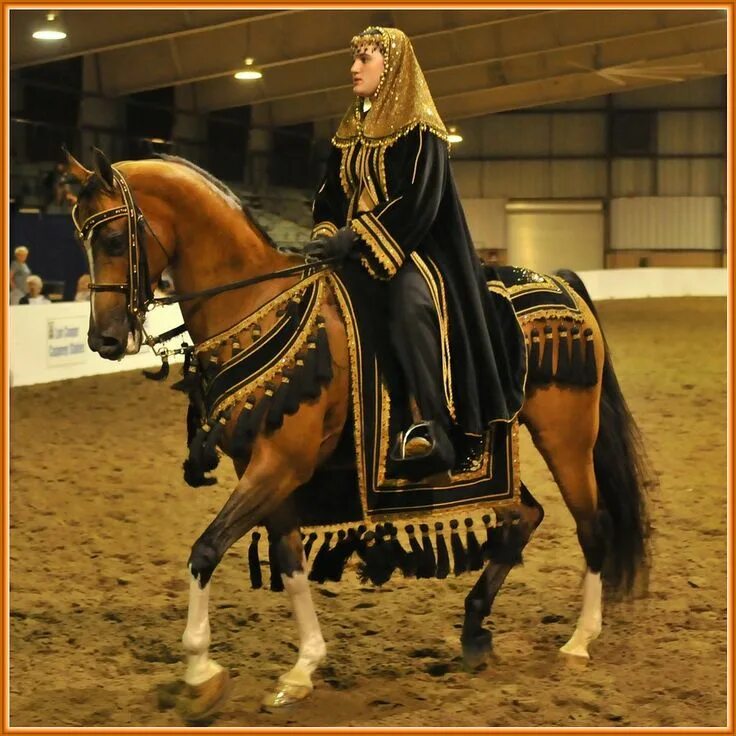 Ремонт лошадей восточное ш 39 фото Pin on Arabian costume horses