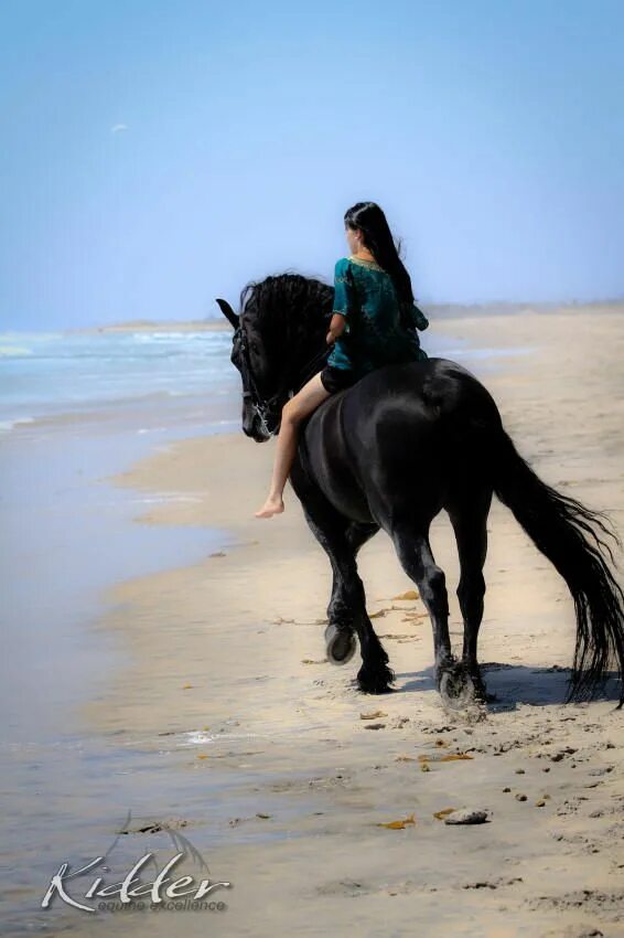 Ремонт лошадей восточное ш 39 фото Riding bare back on the beach with a Frisian is one of the best things ever. :) 