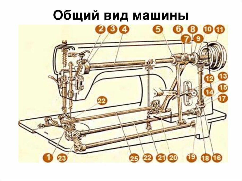 Ремонт швейной машинки своими Ремонт наладка швейной машины