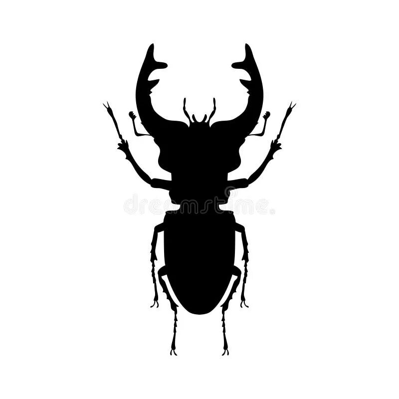 Ремонт жука своими руками Stag Beetle Insect Black Silhouette Animal Stock Vector - Illustration of copysp