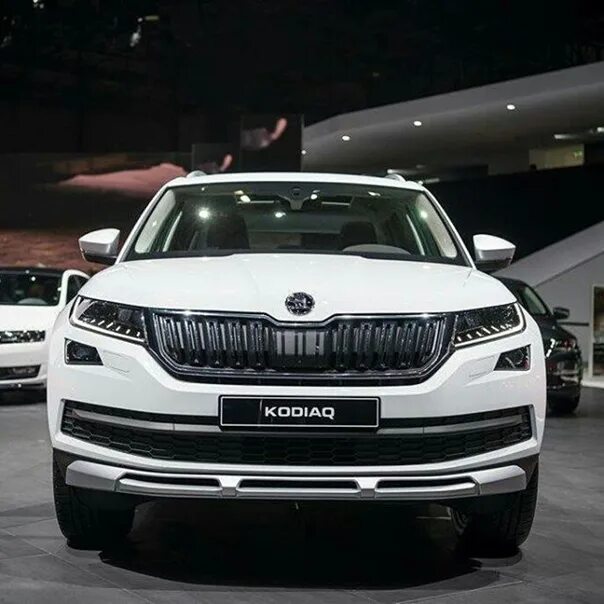 Рено кодиак фото Skoda Kodiaq Scout 2017 - Фотография 27 из 35 ВКонтакте