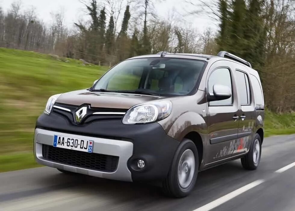 Рено все марки фото Неисправности Renault Kangoo - "МИГ Автосервис"