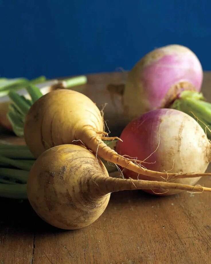 Репа фото овощ Underappreciated: Rutabaga & Turnip Recipes Roasted turnips, Turnip recipes, Rut