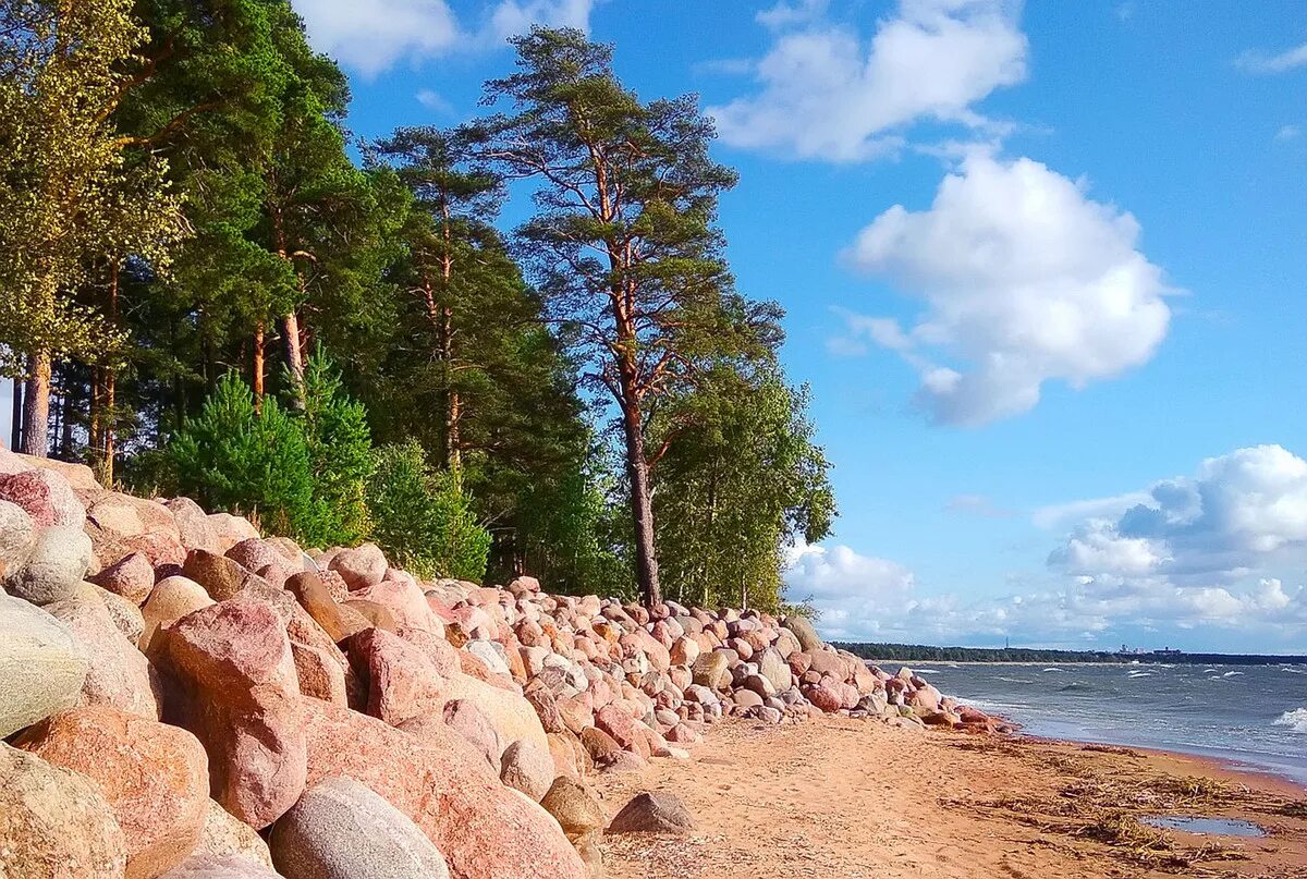 Репино санкт петербург фото Русская Финляндия: Сестрорецк, Репино, Комарово, Зеленогорск (ИНДИВИДУАЛЬНАЯ) на