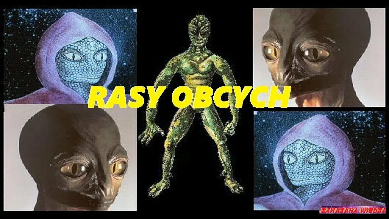 Рептилоиды кто это такие фото RASY I RODZAJE KOSMITÓW OBCYCH/ UFO - YouTube