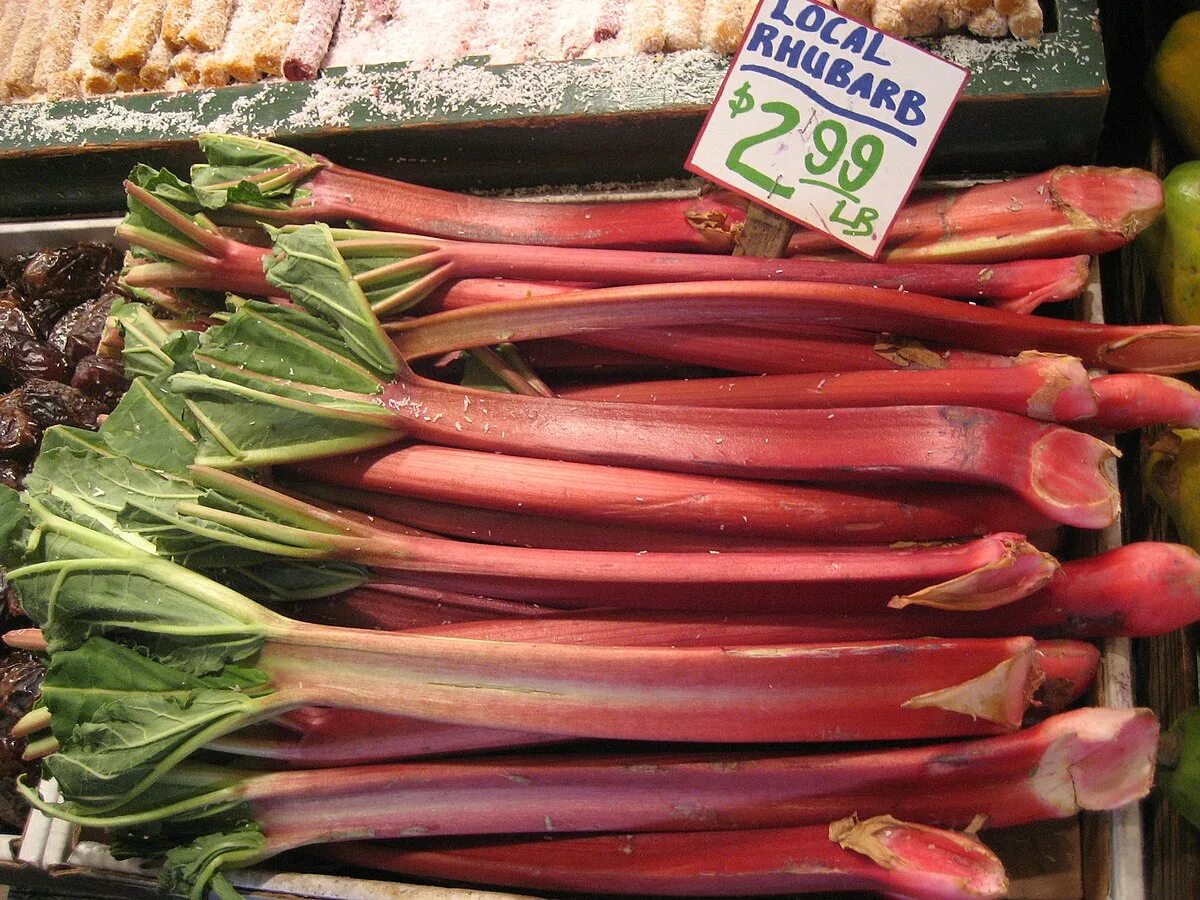 Ревень фото что это такое Файл:Rhubarb for sale in Seattle.jpg - Вікіпедыя