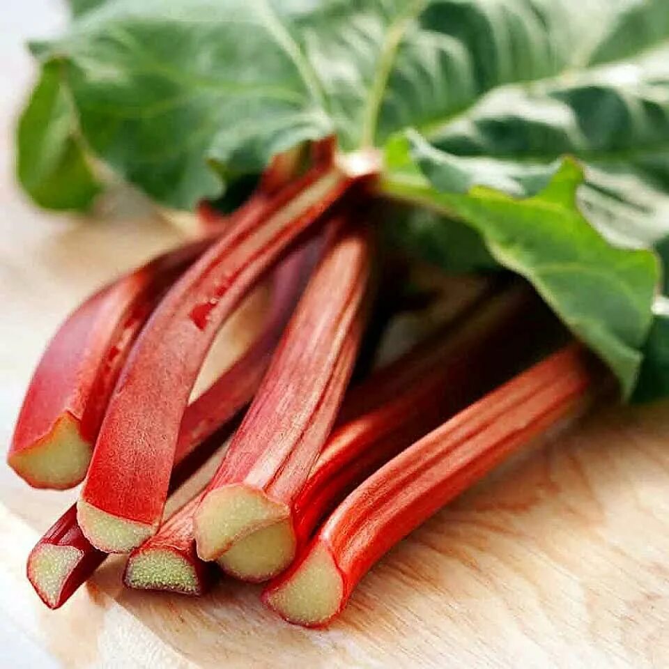 Ревень фото что это такое Amazon.com: Red Rhubarb Plants