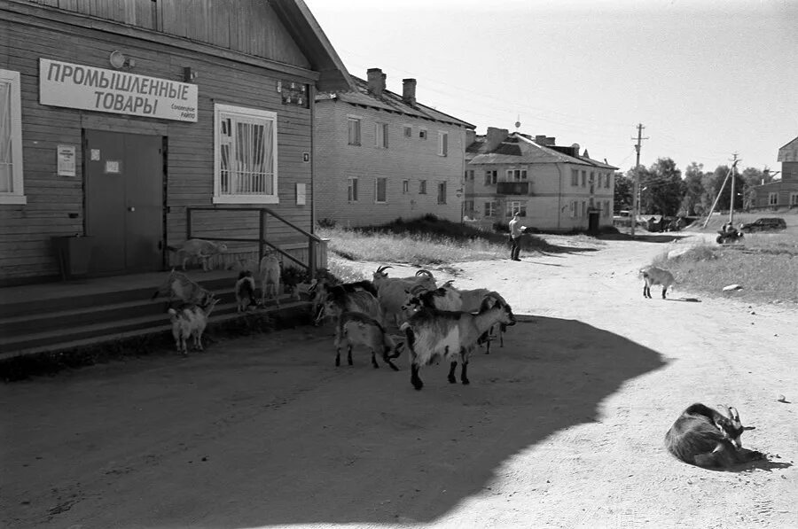 Ревякина фото поселок Фотография Посёлок, автор Alex Kupryanov