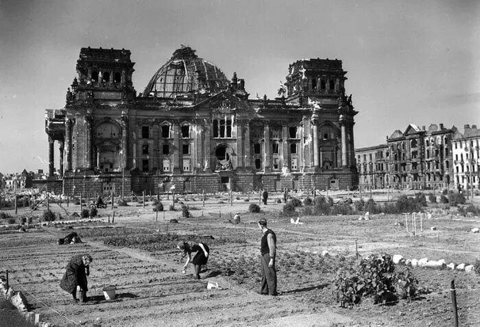 Рейхстаг здание 1945 фото Germans plant vegetables in front of the Reichstag, 1946 - 9GAG