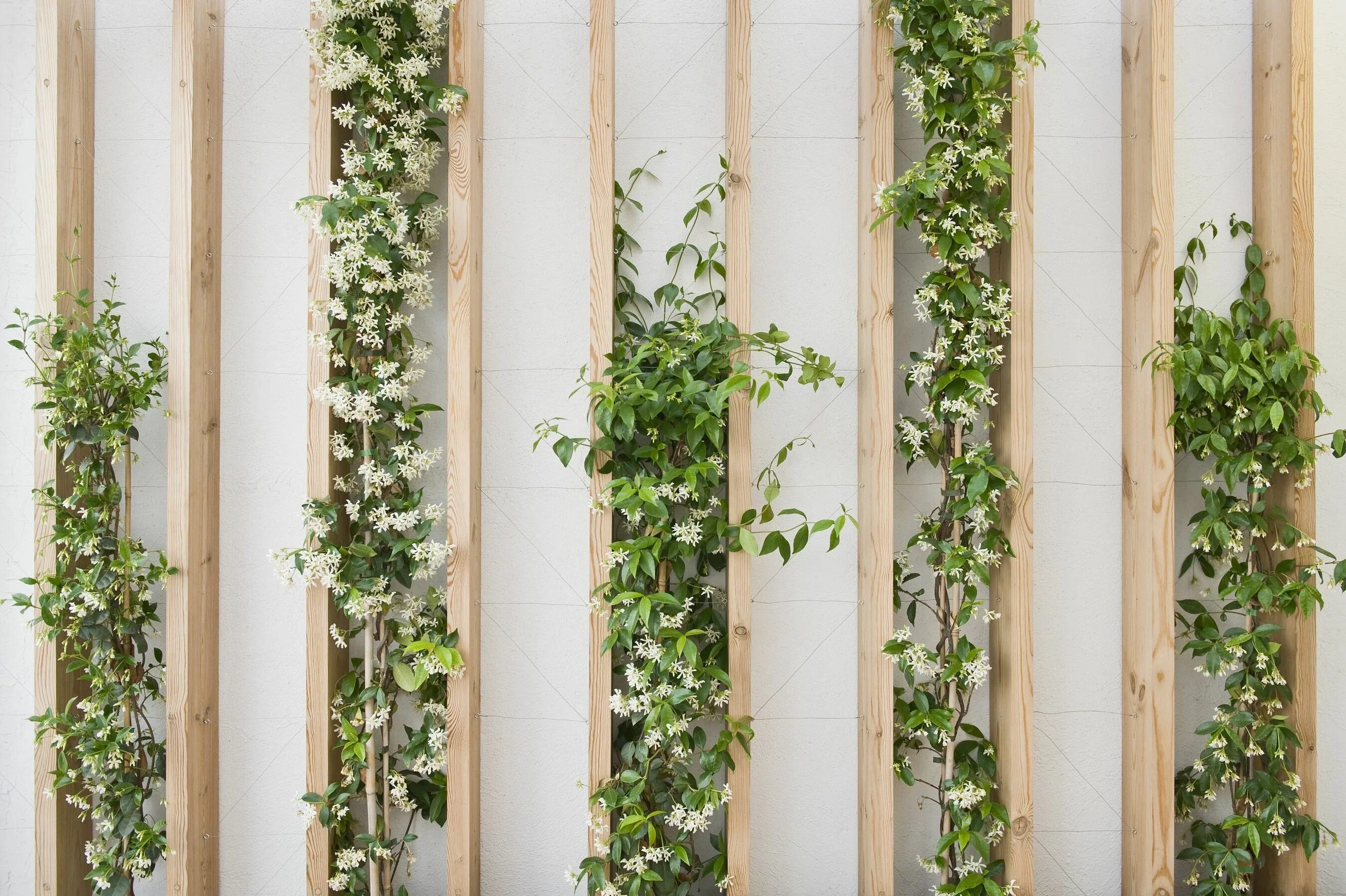 Рейки с цветами в интерьере Archello Vertical garden design, Interior garden, Vertical garden