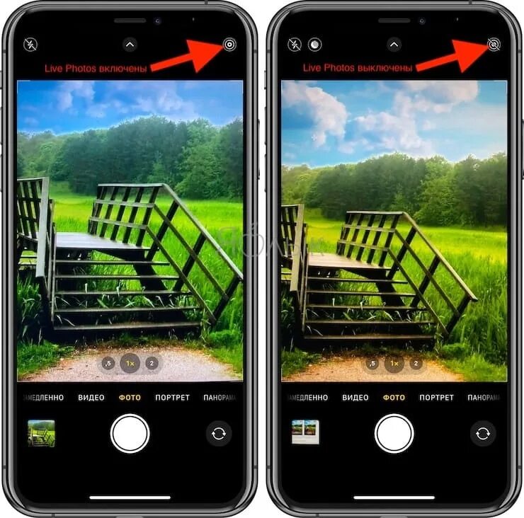 Режим фото лайф айфон Живые фото (Live Photos): как это работает и на каких iPhone и iPad поддерживает